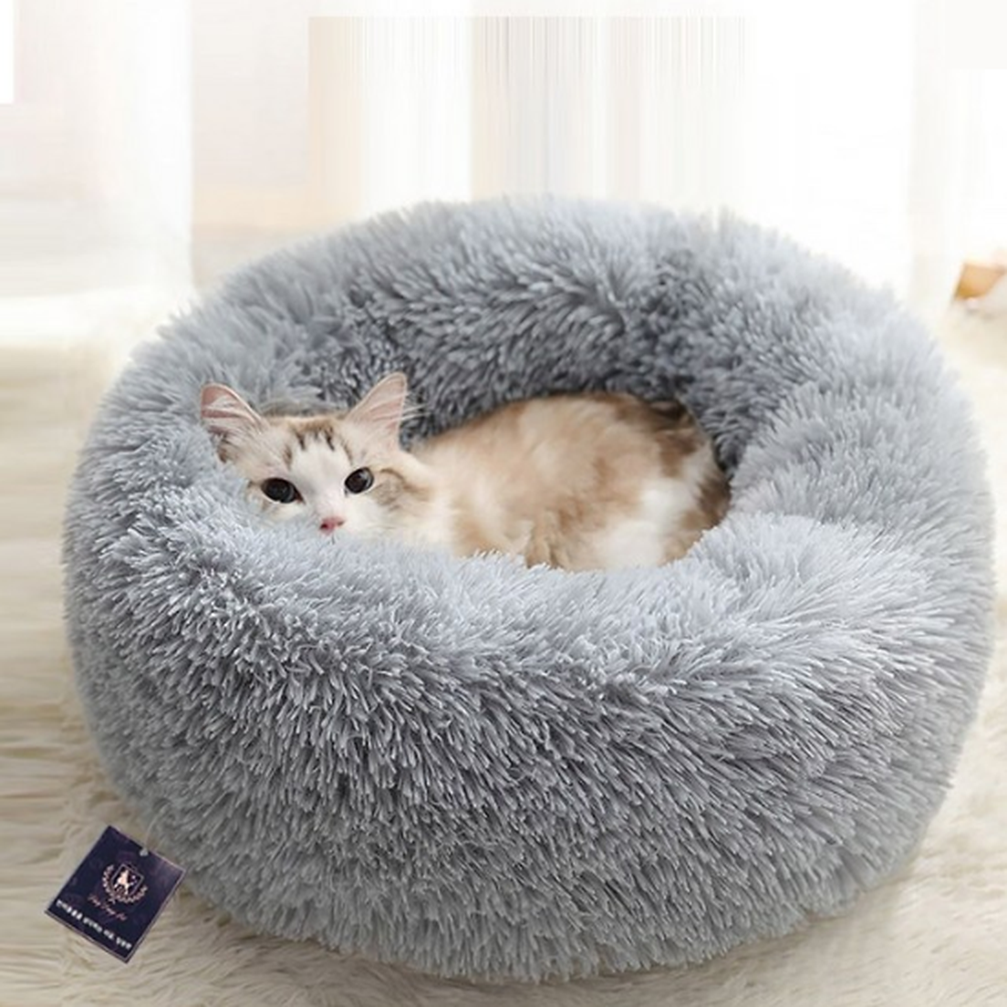 도넛 방석 안에 웅크린 고양이 사진